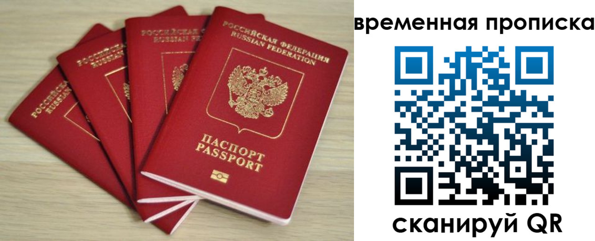 прописка для школы в Александровске