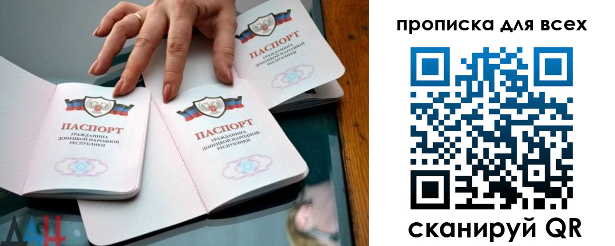 прописка гарантия в Александровске